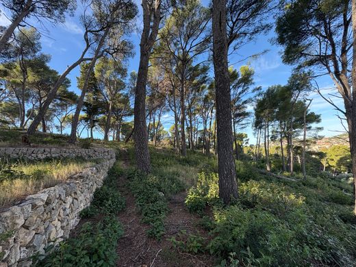 토지 / Ollioules, Var