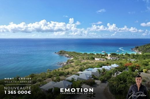 Villa in Saint Martin