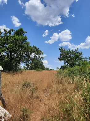 Teren w La Cavalerie, Aveyron