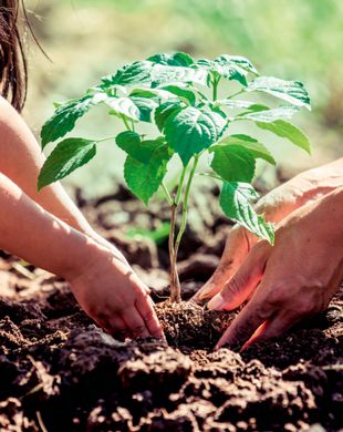 Metz, Moselleのデュプレックス