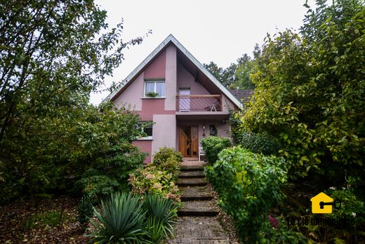 Luxury home in Kembs, Haut-Rhin