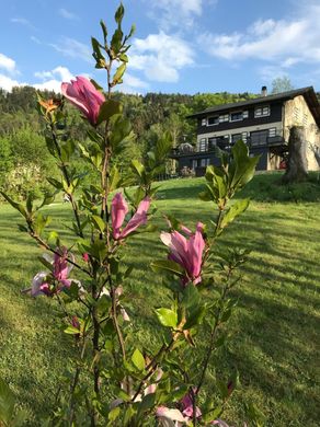 Maison de luxe à Bons-en-Chablais, Haute-Savoie