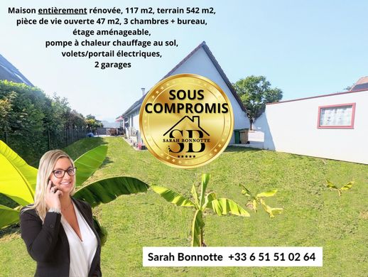 Lüks ev Saint-Louis, Haut-Rhin