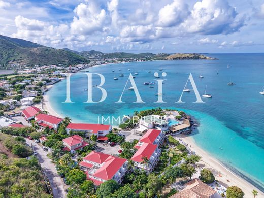 Lüks ev Saint Martin