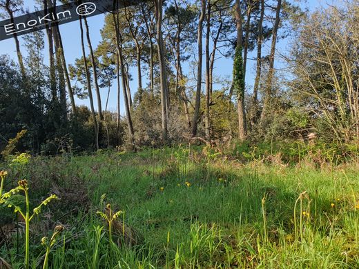 Terreno a Jard-sur-Mer, Vandea