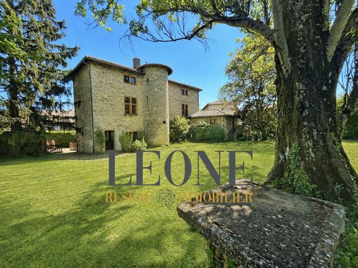 Luxury home in Morancé, Rhône