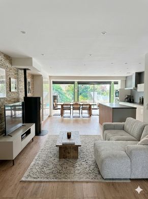 Luxury home in Tressin, North