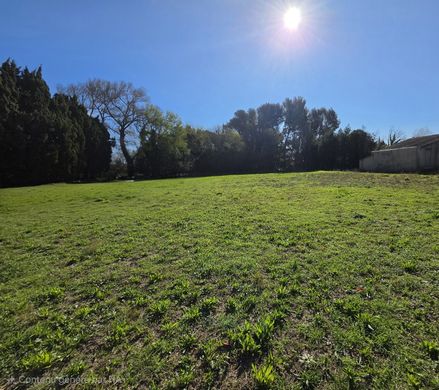 Участок, Maussane-les-Alpilles, Bouches-du-Rhône