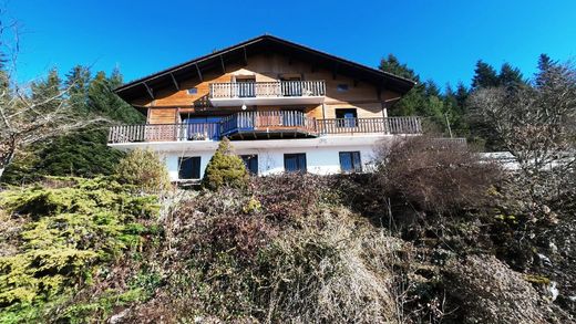 Maison de luxe à Gérardmer, Vosges