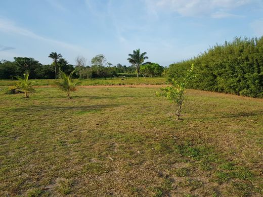 Grundstück in Saint-Laurent-du-Maroni, Guyane