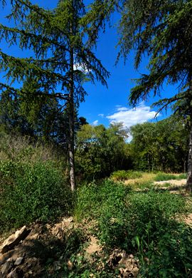 Land in Castelnau-le-Lez, Hérault