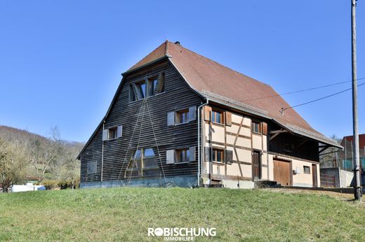 Maison de luxe à Bendorf, Haut-Rhin