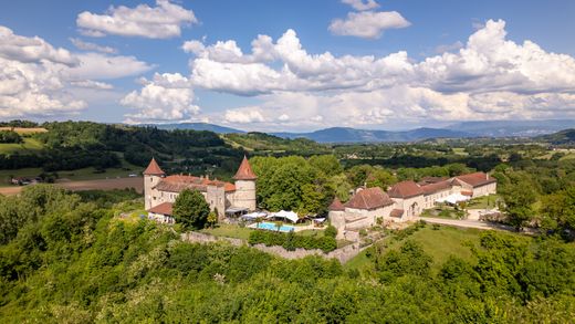 Kasteel in Vignieu, Isère
