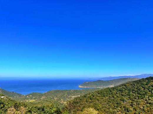 Villa - Villanova, Córsega do Sul