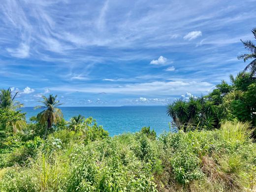 Teren w Sainte-Anne, Guadeloupe