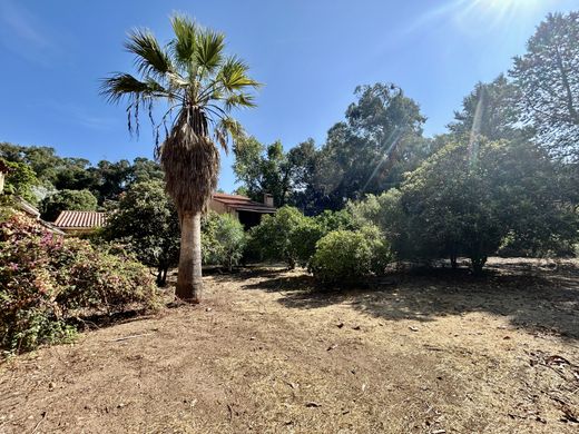 Luxe woning in Calenzana, Upper Corsica