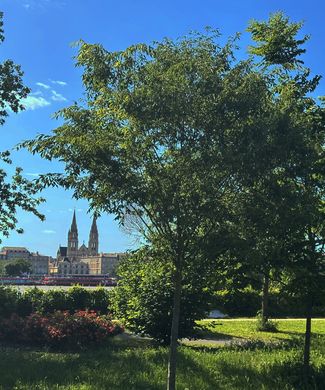 Appartamento a Bordeaux, Gironda