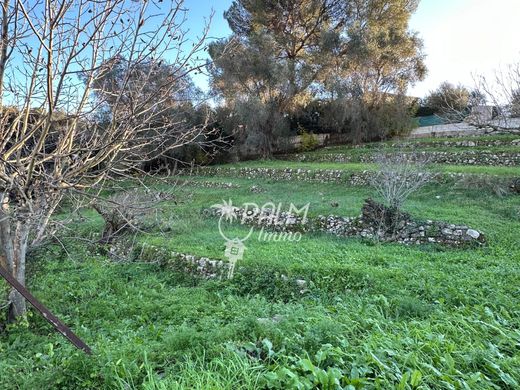 Teren w Vallauris, Alpes-Maritimes