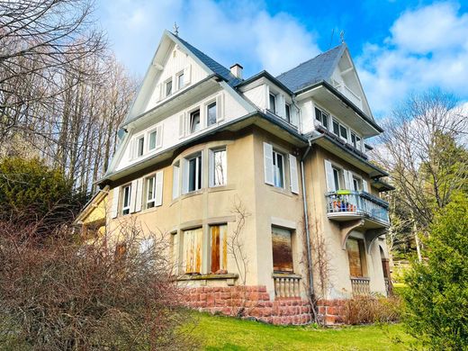 Luxury home in Sainte-Croix-aux-Mines, Haut-Rhin