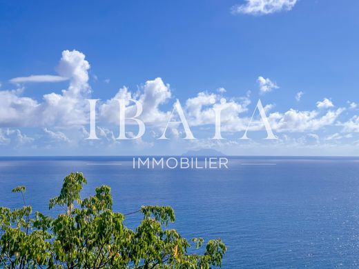 토지 / Saint Martin