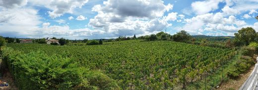 ‏וילה ב  Prissé, Saône-et-Loire