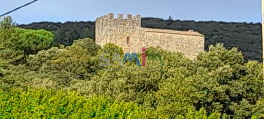 Castle in Soudorgues, Gard