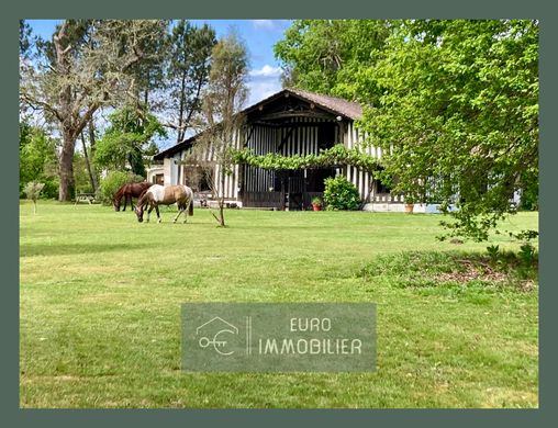 Luxus-Haus in Luxey, Landes