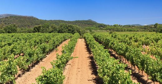Land in Cogolin, Var