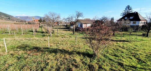 Terreno a Châtenois, Basso Reno