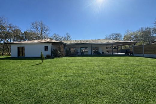 Casa de luxo - Salles, Gironda