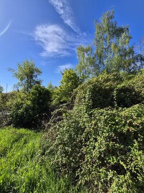 Land in Mareil-Marly, Yvelines