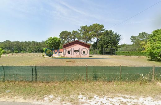 Terreno - Mées, Landes