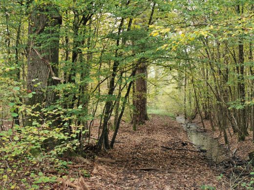 Terreno - Gièvres, Loir-et-Cher