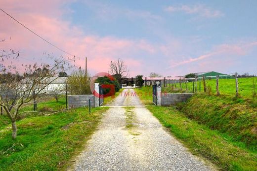 Demeure ou Maison de Campagne à Hagetmau, Landes