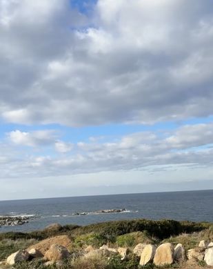 Luxus-Haus in Corbara, Haute-Corse