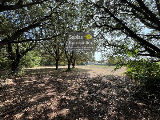 Αγροτεμάχιο σε L'Île-d'Yeu, Vendée