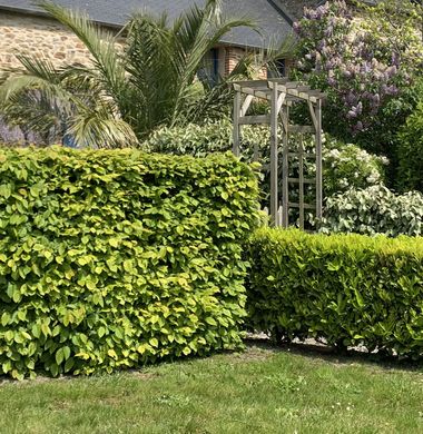 Casa di lusso a Dol-de-Bretagne, Ille-et-Vilaine