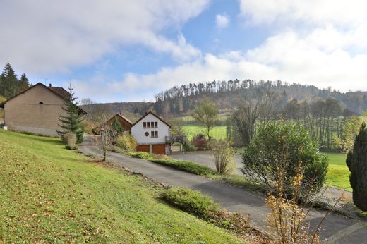 豪宅  Bendorf, Haut-Rhin