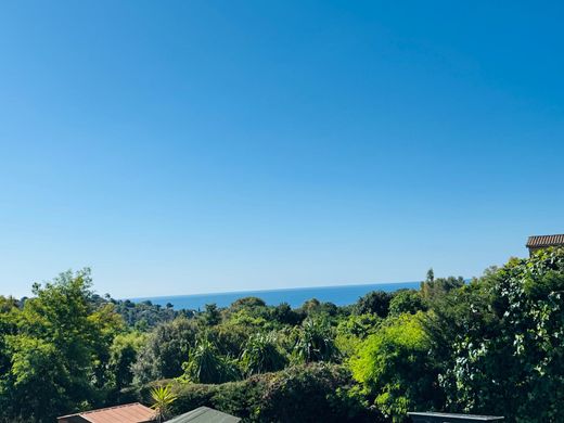 Luksusowy dom w La Croix-Valmer, Var