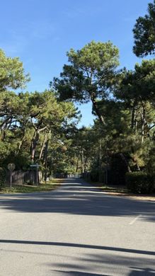 Luxus-Haus in Lège-Cap-Ferret, Gironde