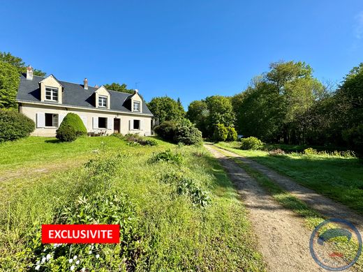 Luxury home in Reugny, Indre and Loire