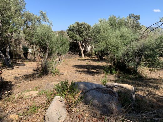 Villa in Sotta, South Corsica