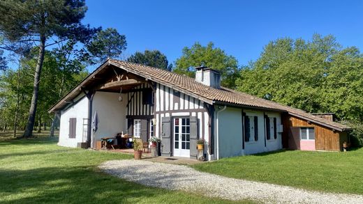 Luxe woning in Luxey, Landes