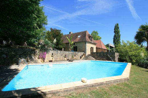 豪宅  Les Eyzies-de-Tayac-Sireuil, Dordogne