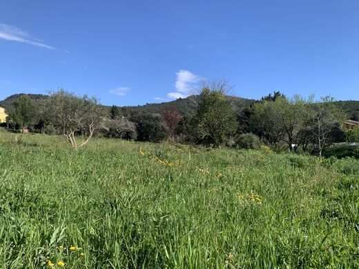 Land in Le Pradet, Var