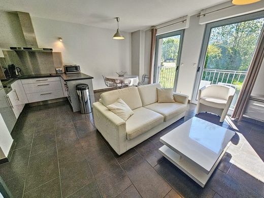 Apartment / Etagenwohnung in Aulus-les-Bains, Ariège