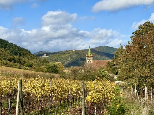 Terreno en Châtenois, Bajo Rin