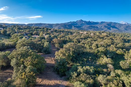 地皮  Pianottoli-Caldarello, South Corsica