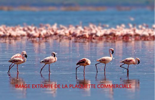 Apartament w Mauguio, Hérault