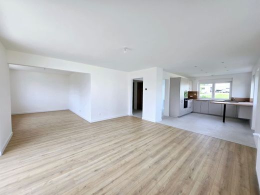 Luxury home in Buschwiller, Haut-Rhin